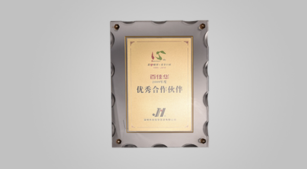 2009 Excellent partner of the year